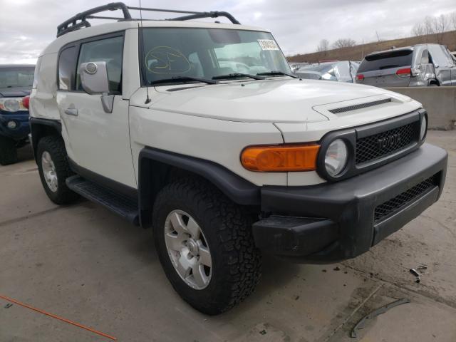 TOYOTA FJ CRUISER 2010 jtebu4bf9ak090126