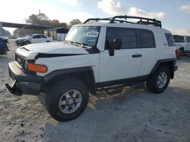 TOYOTA FJ CRUISER 2011 jtebu4bf9bk109498