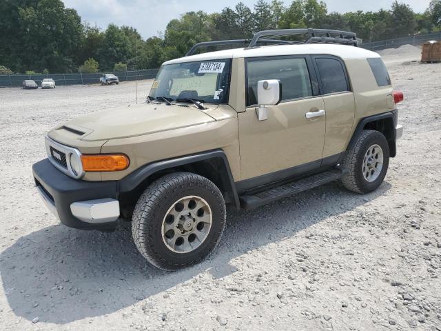 TOYOTA FJ CRUISER 2013 jtebu4bf9dk162351