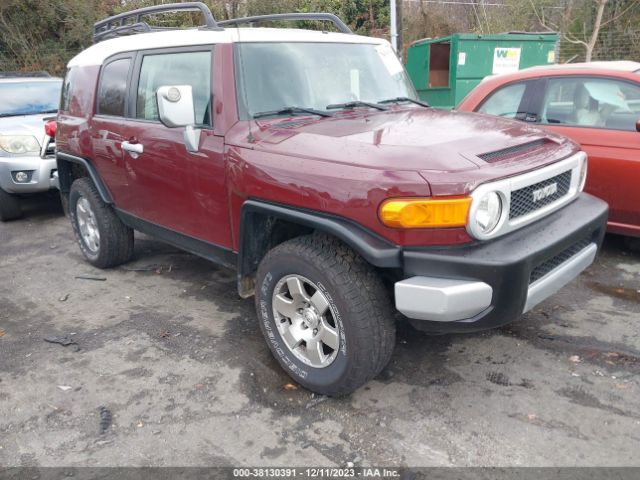 TOYOTA FJ CRUISER 2010 jtebu4bfxak070905