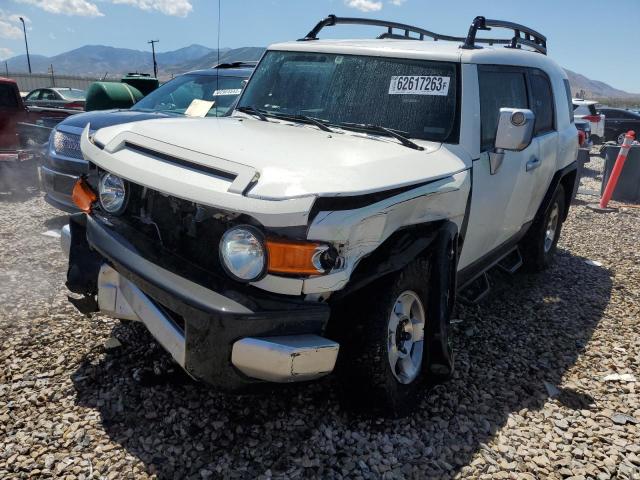 TOYOTA FJ CRUISER 2010 jtebu4bfxak084447