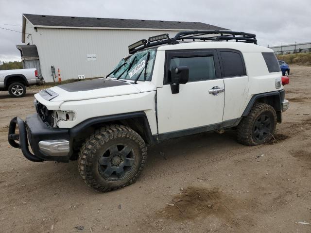 TOYOTA FJ CRUISER 2010 jtebu4bfxak085792