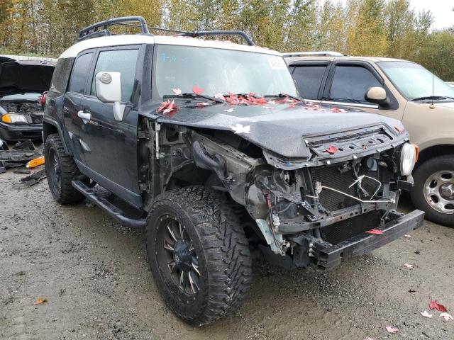 TOYOTA FJ CRUISER 2010 jtebu4bfxak097294