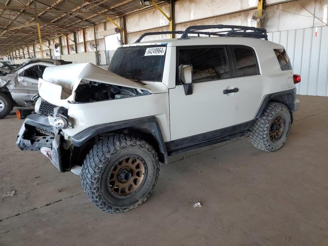 TOYOTA FJ CRUISER 2011 jtebu4bfxbk100616