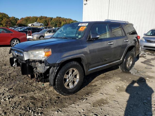 TOYOTA 4RUNNER SR 2010 jtebu5jr1a5026985