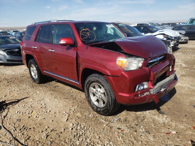 TOYOTA 4RUNNER SR 2010 jtebu5jr8a5026076