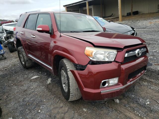 TOYOTA 4RUNNER SR 2010 jtebu5jrxa5015256