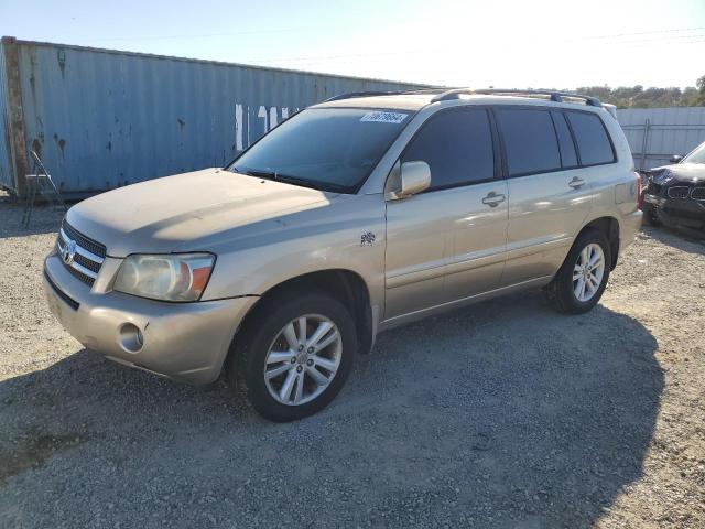 TOYOTA HIGHLANDER 2007 jtedw21a070017423