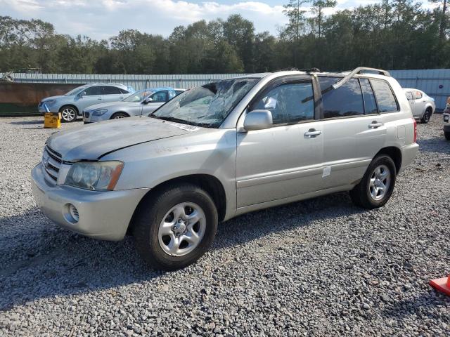 TOYOTA HIGHLANDER 2003 jtegd21a230059430