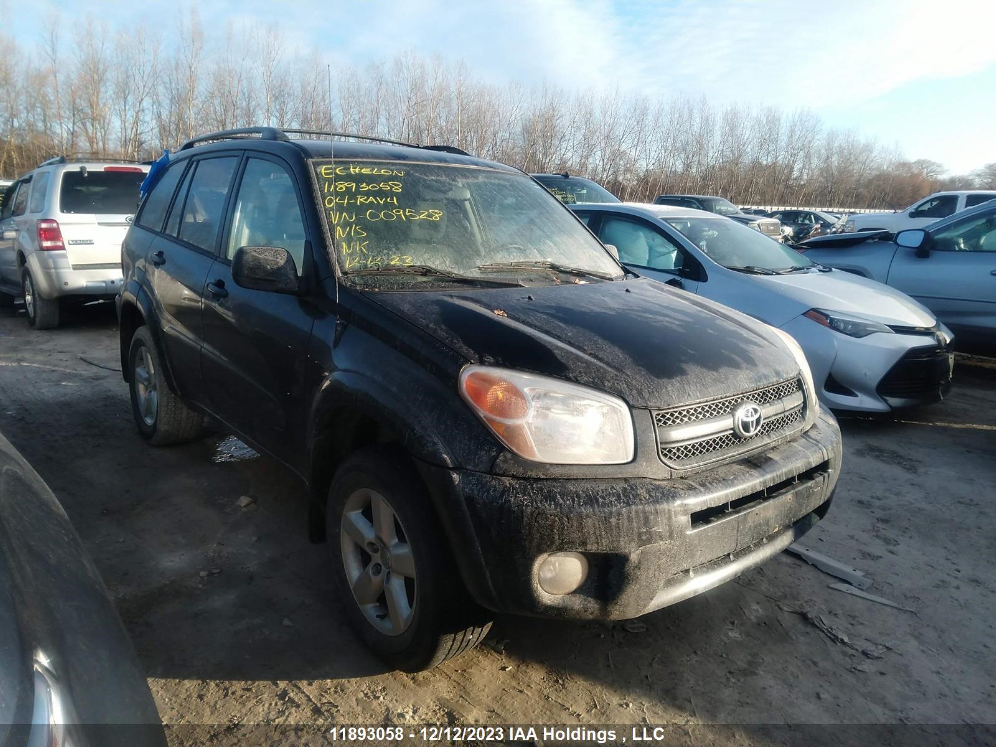 TOYOTA RAV 4 2004 jtehd20v146009528