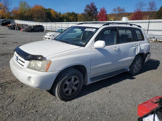 TOYOTA HIGHLANDER 2002 jtehf21a920051337