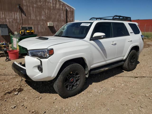 TOYOTA 4RUNNER SR 2024 jtelu5jr9r6224403