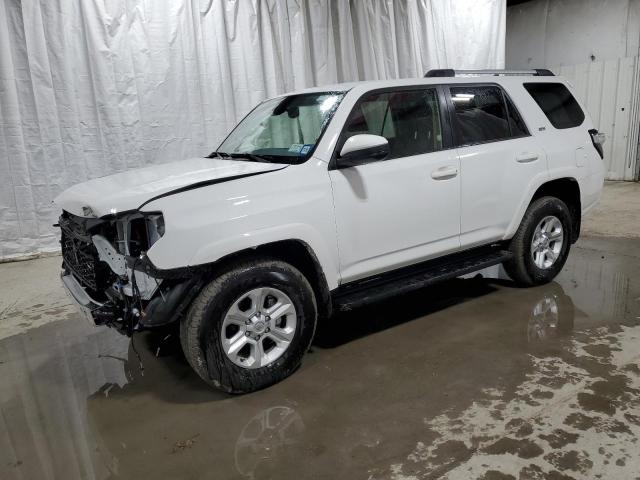 TOYOTA 4RUNNER SR 2024 jtemu5jr9r6288011