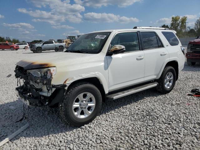 TOYOTA 4RUNNER SR 2024 jtenu5jr3r6228696