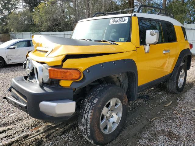 TOYOTA FJ CRUISER 2007 jtezu11f070018783