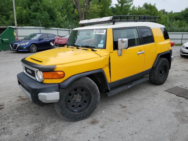 TOYOTA FJ CRUISER 2007 jtezu11f370009530