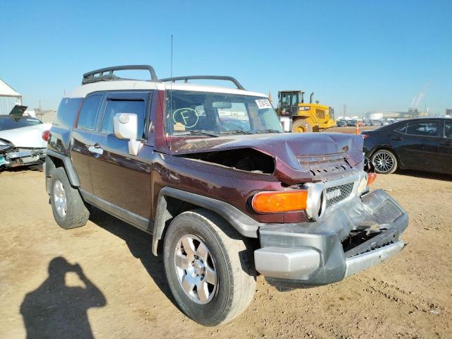 TOYOTA FJ CRUISER 2007 jtezu11f470009892