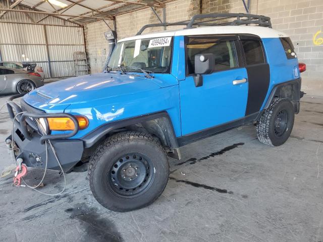 TOYOTA FJ CRUISER 2007 jtezu11f570004748