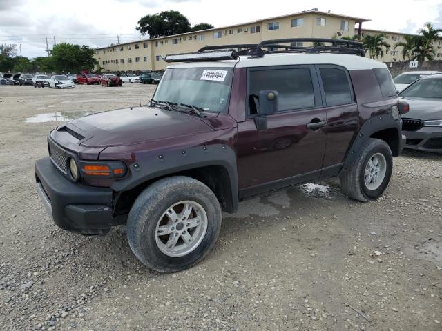 TOYOTA FJ CRUISER 2007 jtezu11f770007666