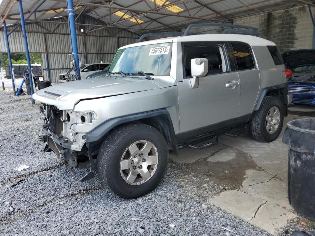 TOYOTA FJ CRUISER 2007 jtezu11f970016000