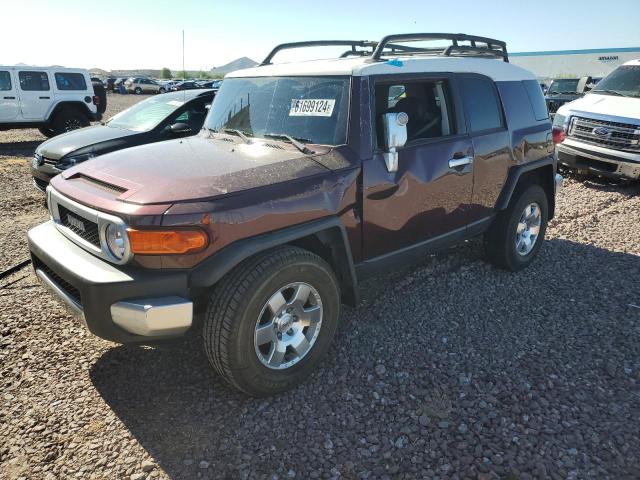 TOYOTA FJ CRUISER 2007 jtezu11fx70015261