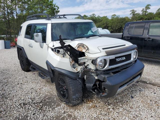 TOYOTA FJ CRUISER 2010 jtezu4bf4ak008558