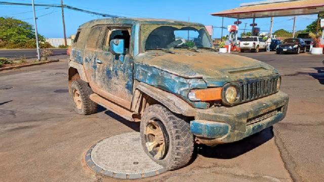 TOYOTA FJ CRUISER 2010 jtezu4bf8ak008661