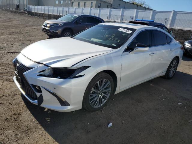 LEXUS ES300 2019 jthb21b10k2002805