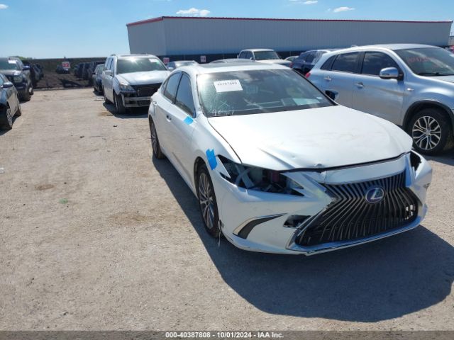 LEXUS ES 2019 jthb21b10k2041281