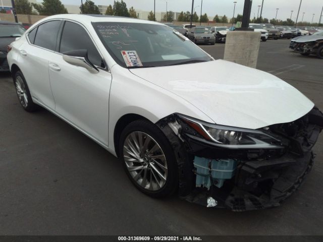 LEXUS ES 2019 jthb21b11k2036638