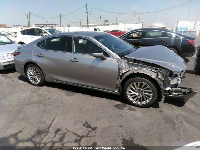 LEXUS ES 2019 jthb21b14k2032051