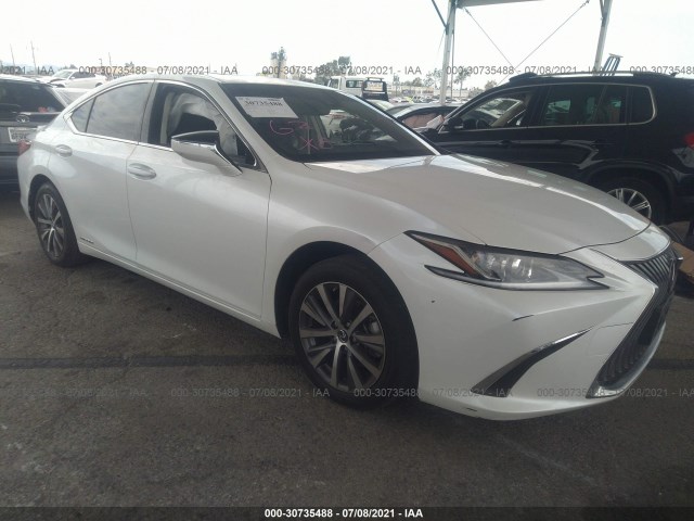 LEXUS ES 2019 jthb21b16k2034576