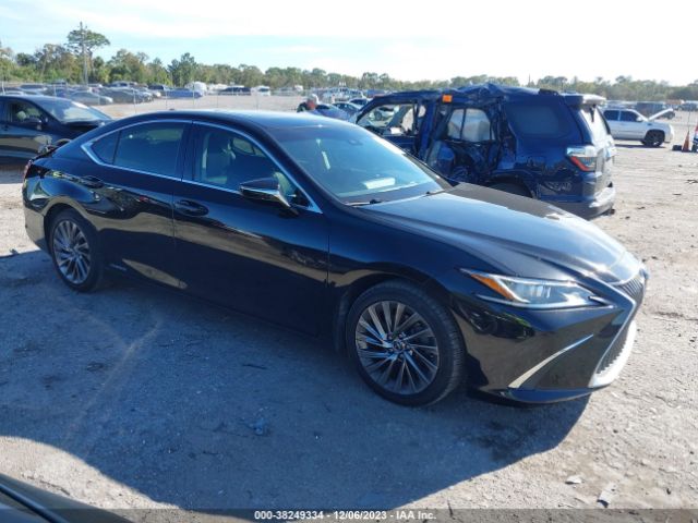 LEXUS NULL 2019 jthb21b17k2002204