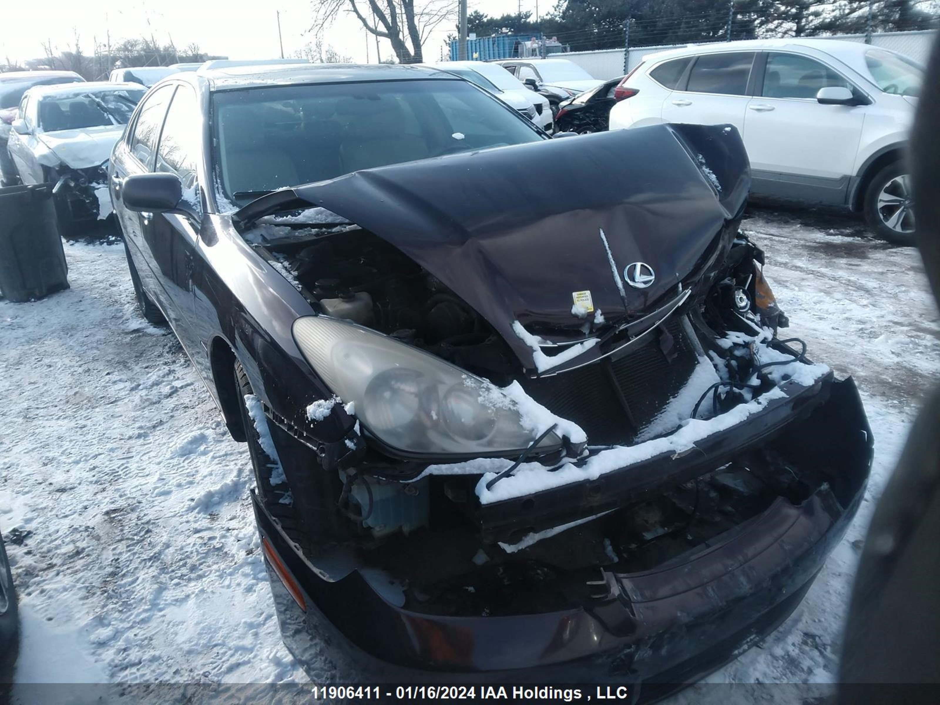 LEXUS ES 2004 jthba30g040002825