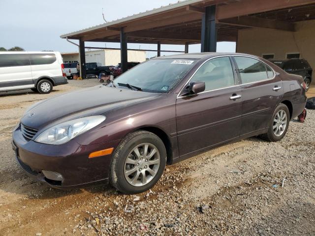 LEXUS ES 330 2004 jthba30g040003795