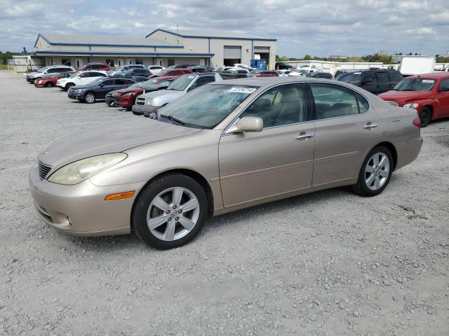 LEXUS ES 330 2005 jthba30g055056551