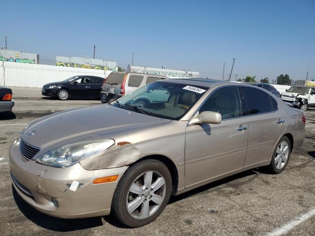 LEXUS ES 330 2005 jthba30g055061281