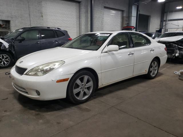 LEXUS ES330 2005 jthba30g055106042