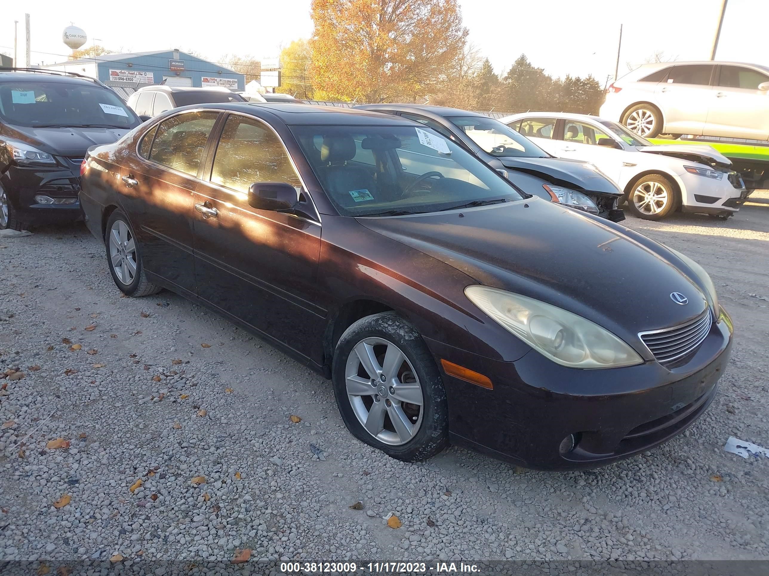 LEXUS ES 2005 jthba30g055125996