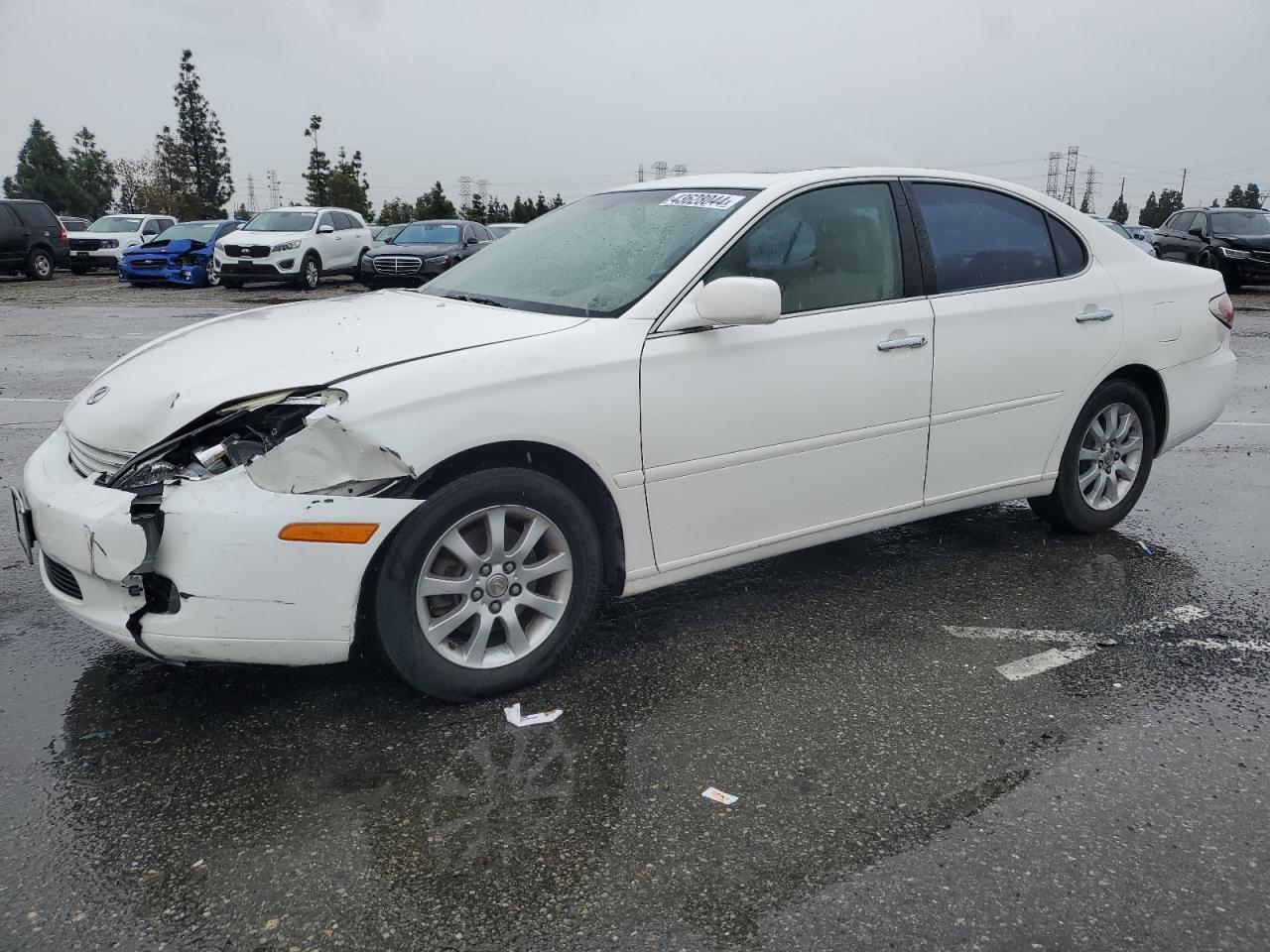 LEXUS ES 2004 jthba30g145026232