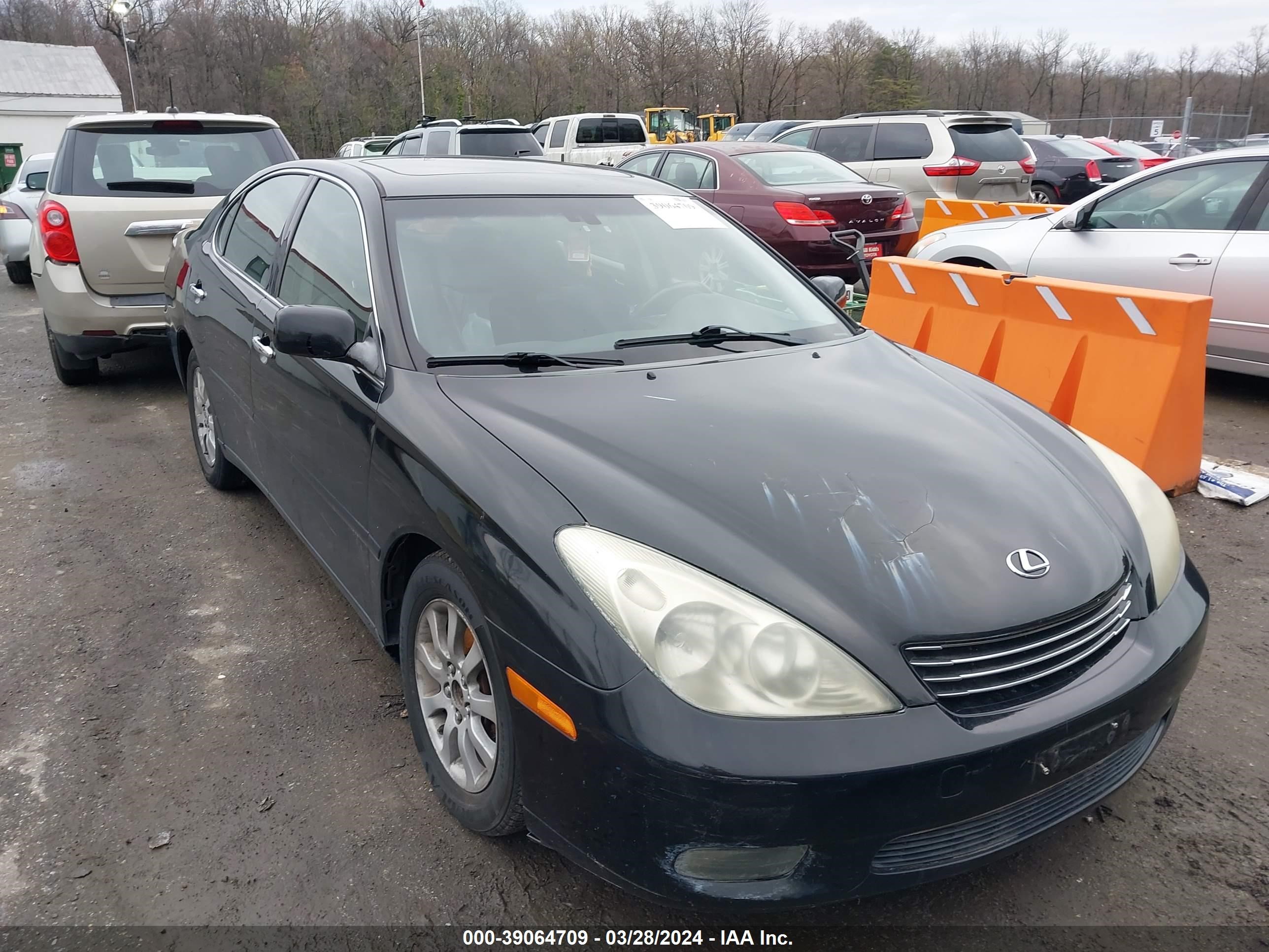 LEXUS ES 2004 jthba30g145041457