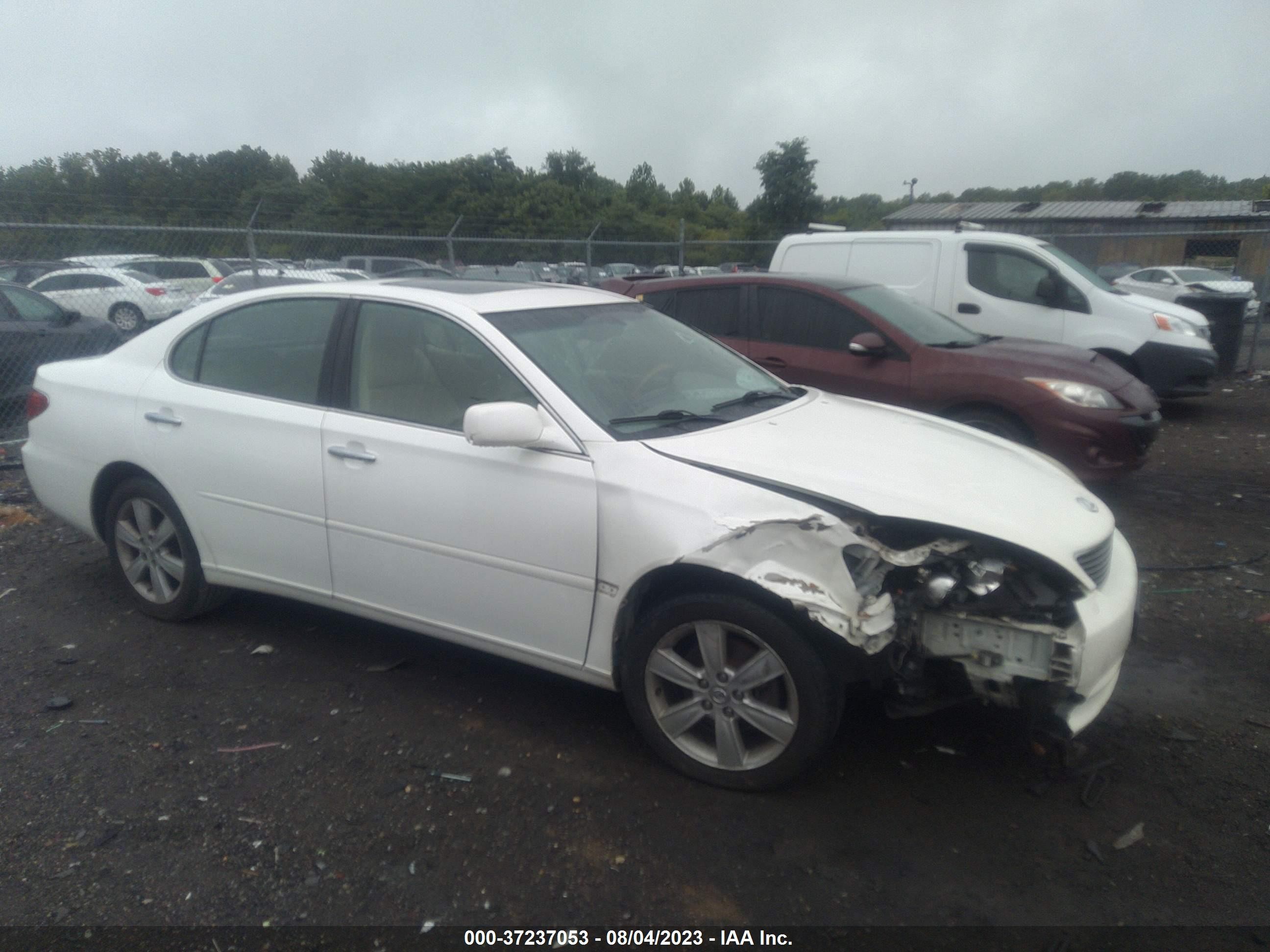 LEXUS ES 2005 jthba30g155056784