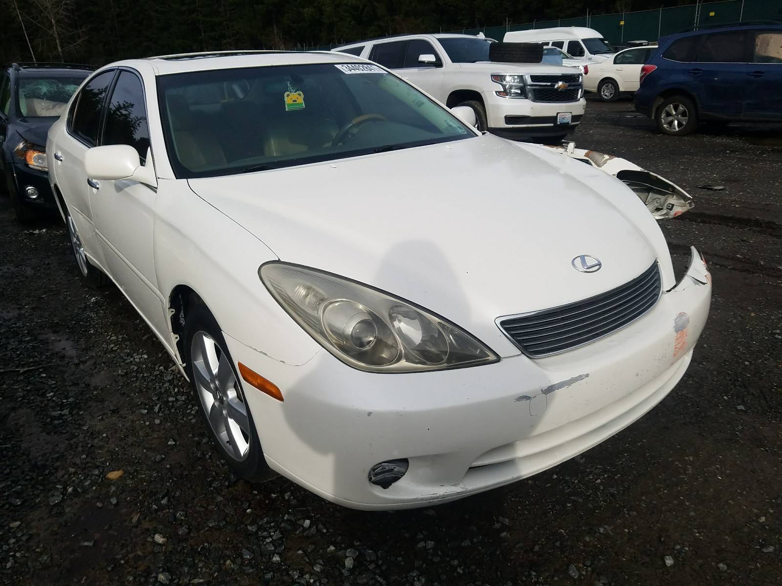 LEXUS ES 330 2005 jthba30g155059328