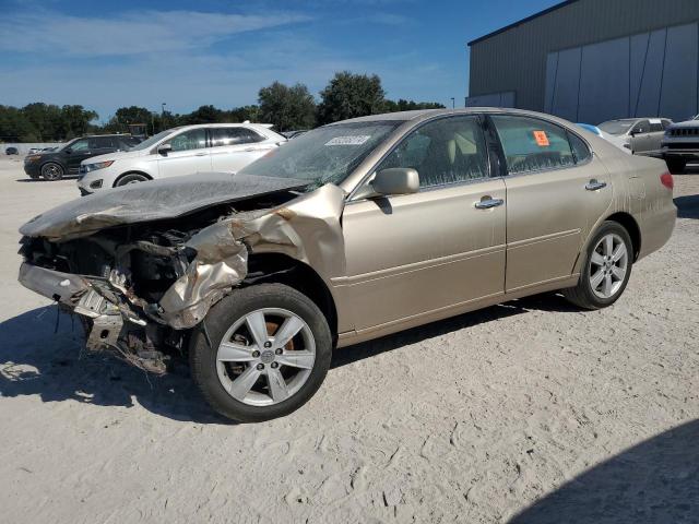 LEXUS ES 330 2005 jthba30g155072970