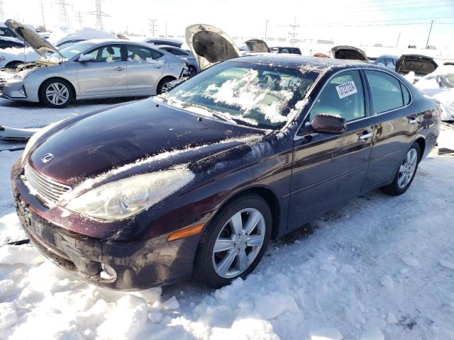 LEXUS ES330 2005 jthba30g155088165