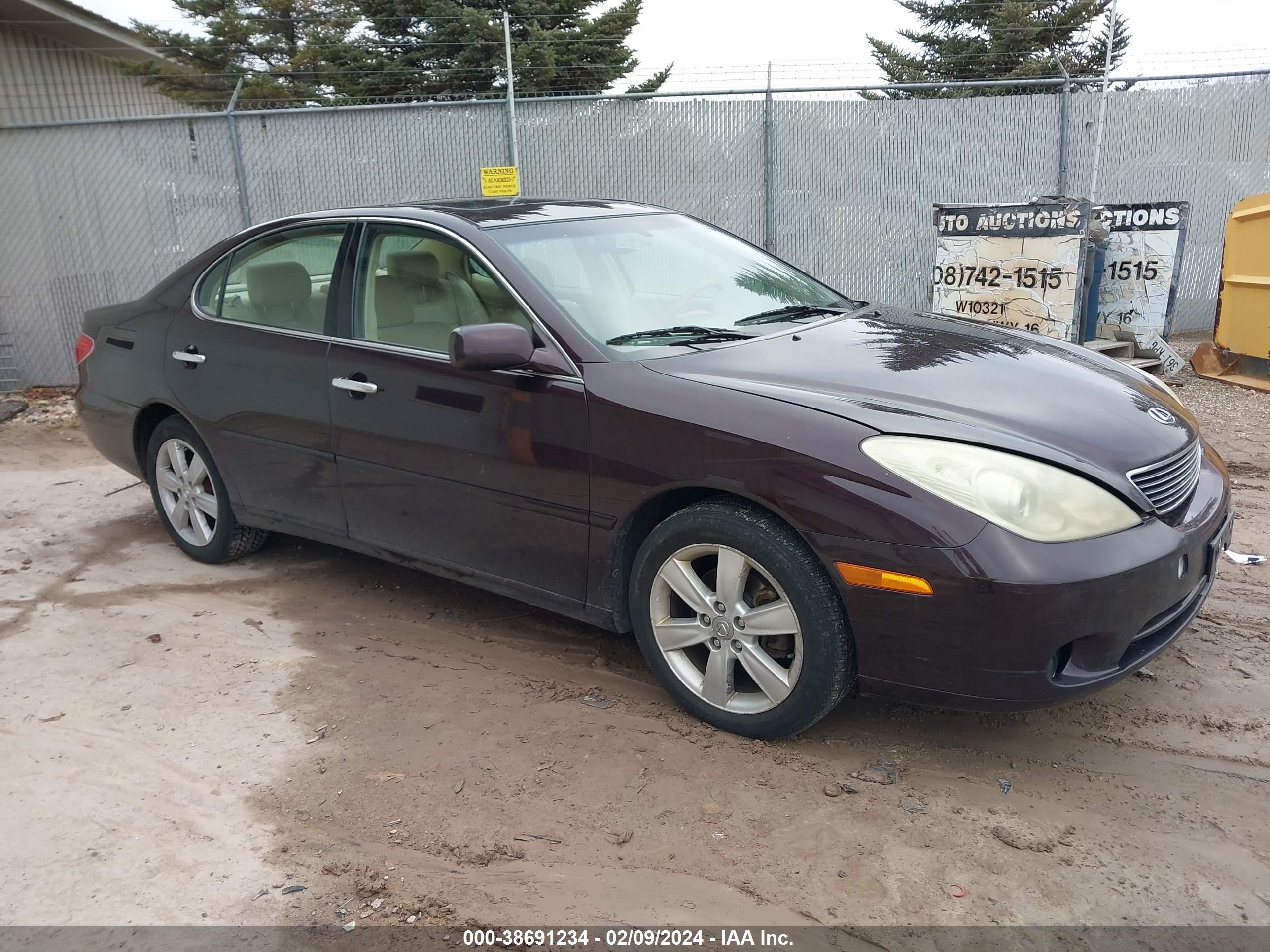 LEXUS ES 2005 jthba30g155104896