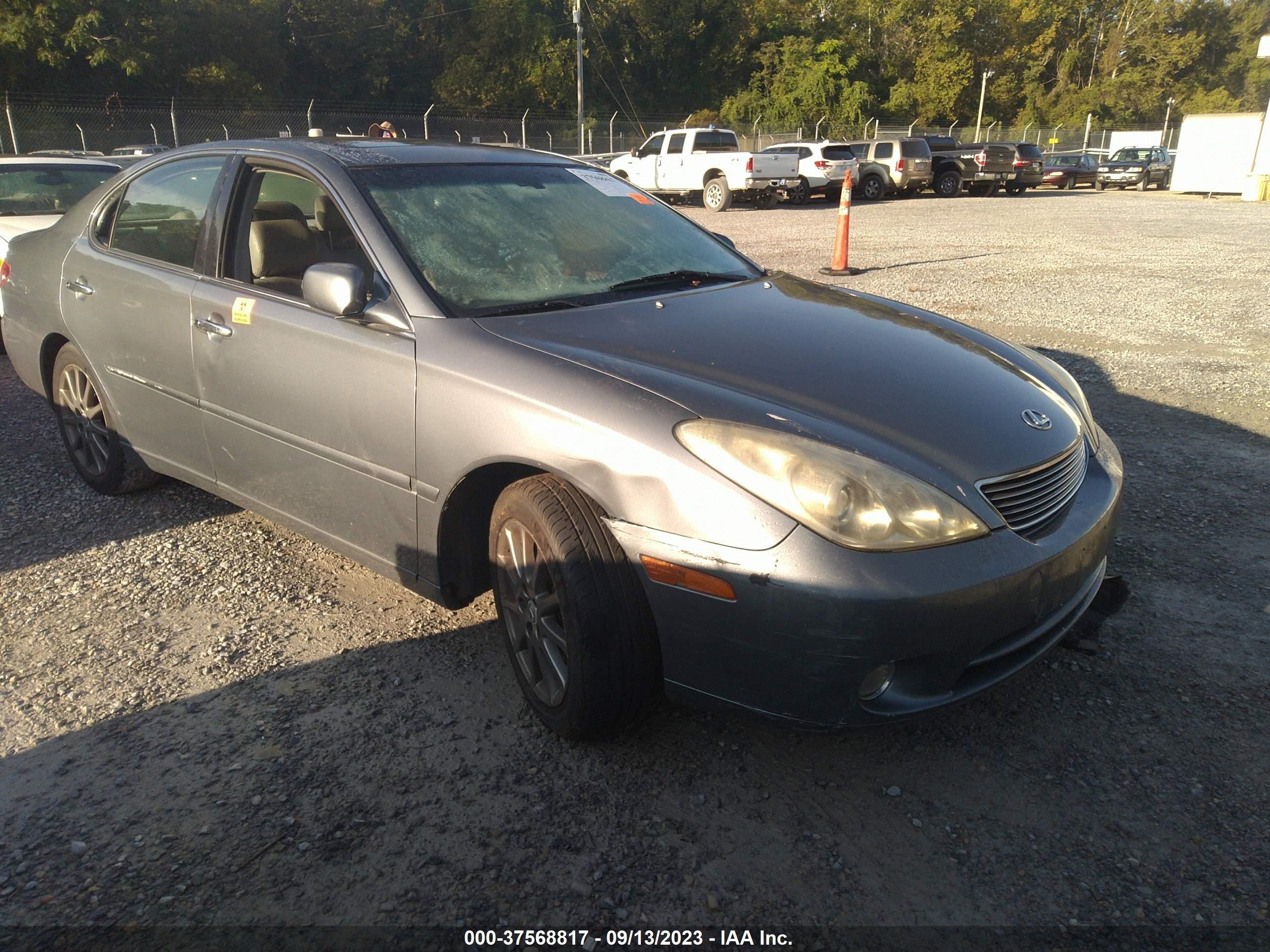 LEXUS ES 2005 jthba30g155112562