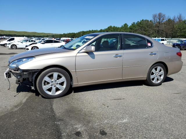 LEXUS ES 330 2006 jthba30g165146616