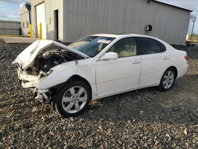 LEXUS ES 330 2006 jthba30g165168020