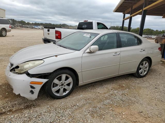 LEXUS ES330 2006 jthba30g165172178